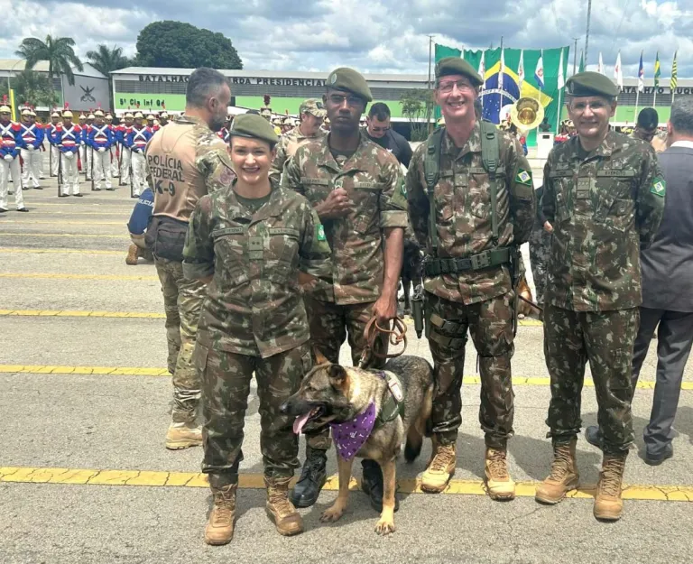 Cães policiais finalmente se aposentam: um adeus com honras merecidas após anos de trabalho duro