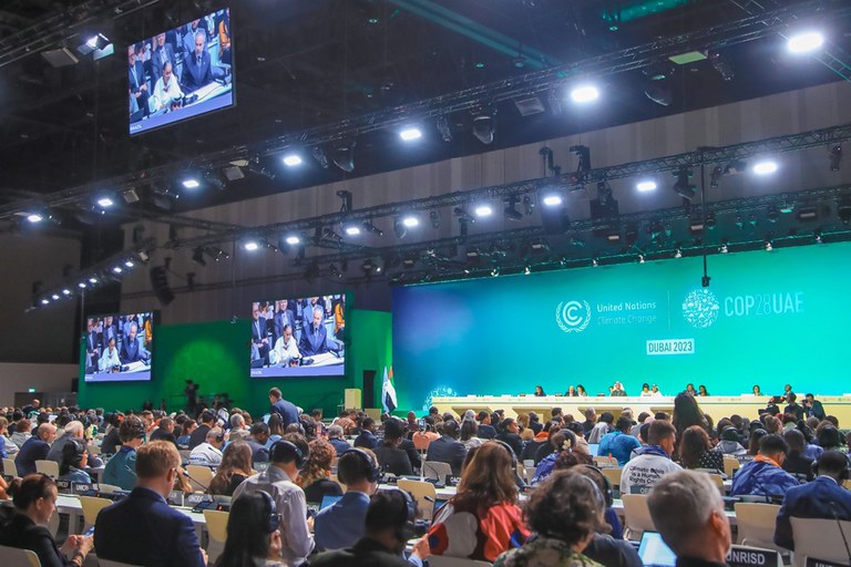 Para sediar cúpula do clima da ONU, Governo derruba floresta e desaloja comunidades na Amazônia; COP30 desperta críticas por promover desmatamento