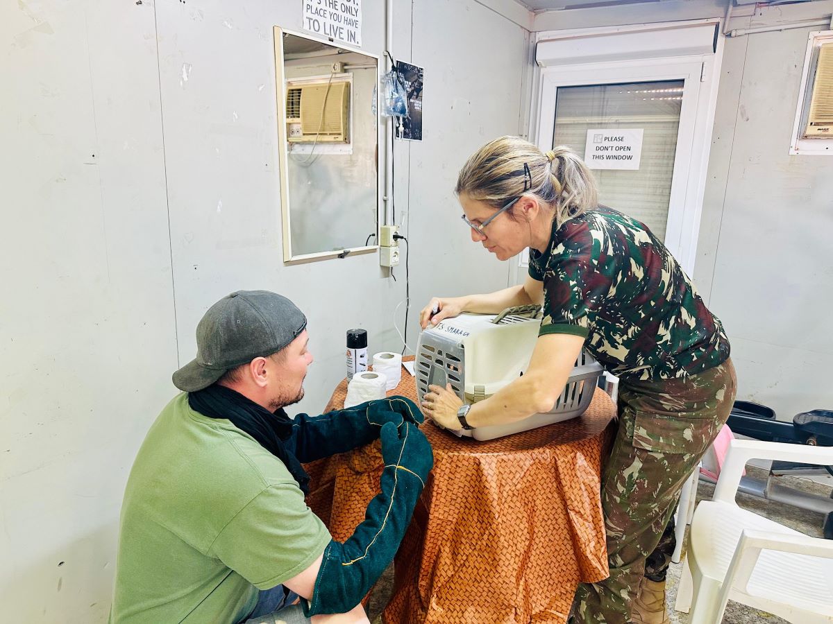Veterinária brasileira surpreende a ONU com projeto inovador – Missão de Paz do Exército no SAARA tem papel inesperado